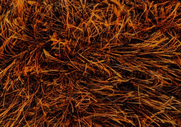 King Cole - Tinsel Chunky 50g - All Shades - Image 35